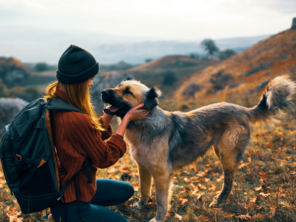 Yhteistyötä eläinten hyvinvoinnin eteen